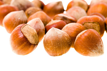 hazelnuts (isolated)