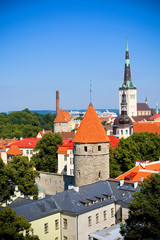 Obraz premium Tallinn Old Town