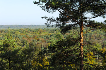 forêt d'ile de France, la malmontagne