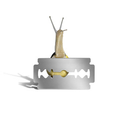 Grove snail and razor blade
