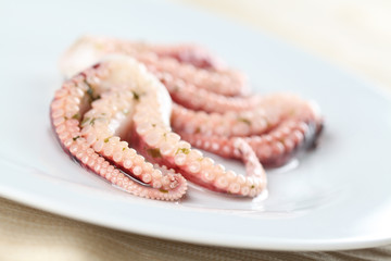 Octopus tentacles on a white plate