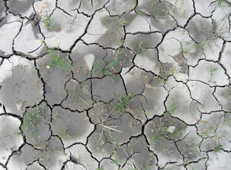almost dry soil