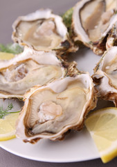 oyster