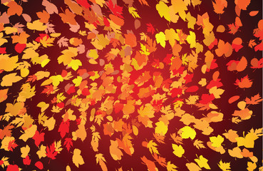Background from autumn leaves