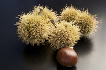 Castagne