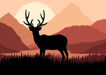 Deer in wild nature landscape illustration
