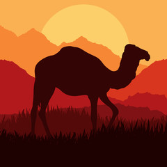 Fototapeta na wymiar Camel in wild Africa nature landscape illustration