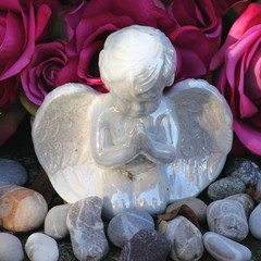 Petit ange