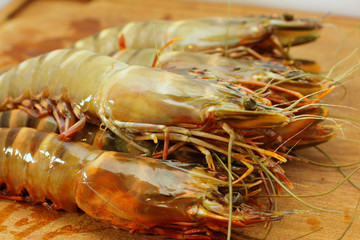 big fresh tiger prawns, king prawns, shrimp