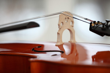 Violine