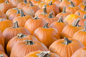 Pumpkins in an Open Air Market