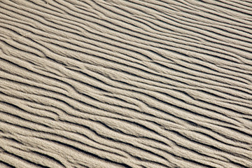 A rippled sand dune