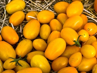 Tomaten-gelb