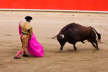 Deurstickers Bullfighting © natursports