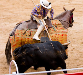 Bullfighting