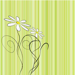 Obraz premium Flowers background