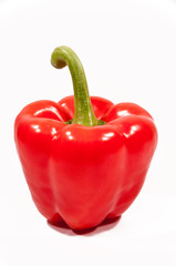 Paprika rot