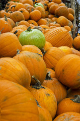 citrouilles