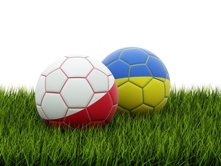 Fototapeta na wymiar EURO 2012 piłki samodzielnie na trawie