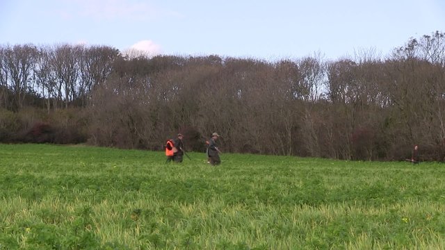 battue dans les champs