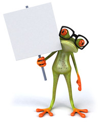 Grenouille et lunettes