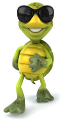 Tortue et lunettes de soleil