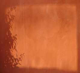 shadow and light plane with leaves on orange wall