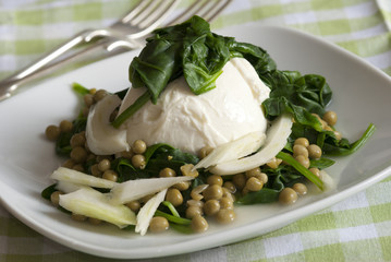 Mozzarella, spinach and fennel salad