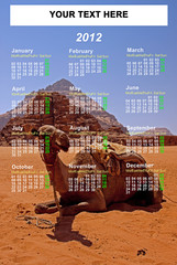 Calendario 2012 Dromedario