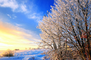Winter time landscape