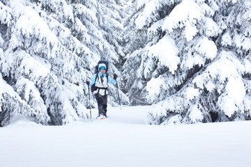 Hiker walks in snow forest