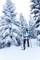 Hiker walks in snow forest