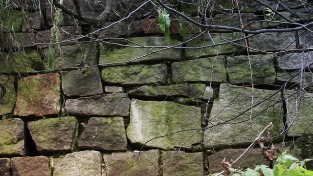 old wall of stones at autumn Park
