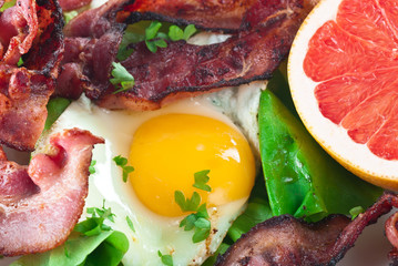 Egg Bacon Meal