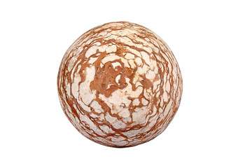 spherical fossil