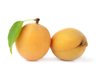 Group apricot on a white background