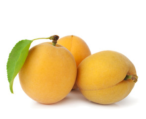 Group apricot on a white background