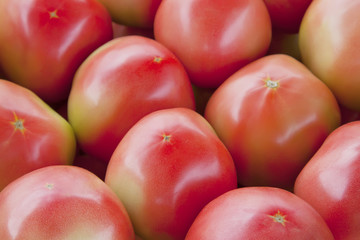 piles of tomatoes