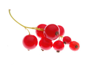 red berries