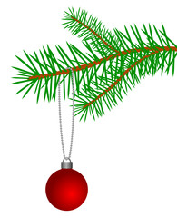 christbaumkugel an tannenzweig