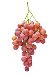 grapes isolated on white background