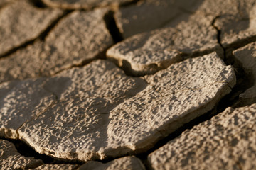 Cracked lifeless soil