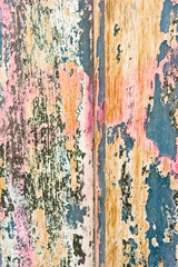 Stock macro photo of the texture of wood