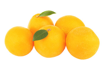ripe oranges