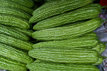 Bitter melon