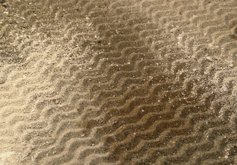 wavy lines on brown sand surface