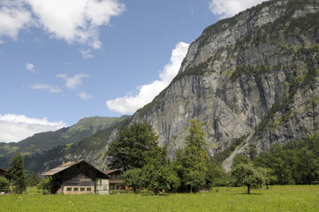 Fototapeta na wymiar Farmland in the Lauterbrunnen Valley in Switzerland