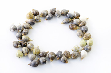 数珠玉のフレーム