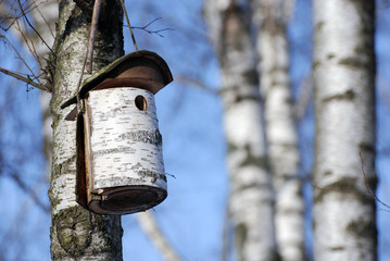 Birdhouse made out of birch