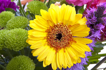 Yellow flower in flower arangement